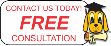 K9 Advisors - Free Consultation