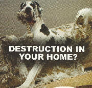 Destruction In Your Home