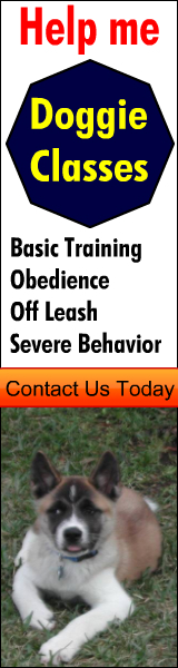 Dog Training