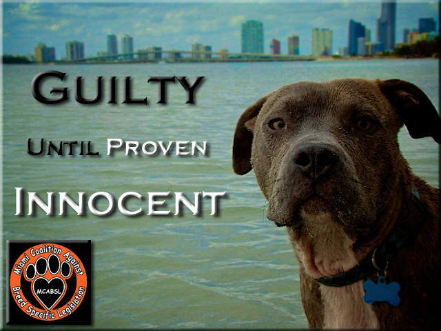 guilty until proven innocent