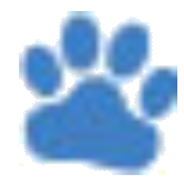 K9