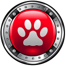 Contact Dog Trainer