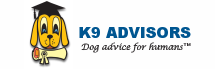 Aggression Dog Training - K9 Advisors